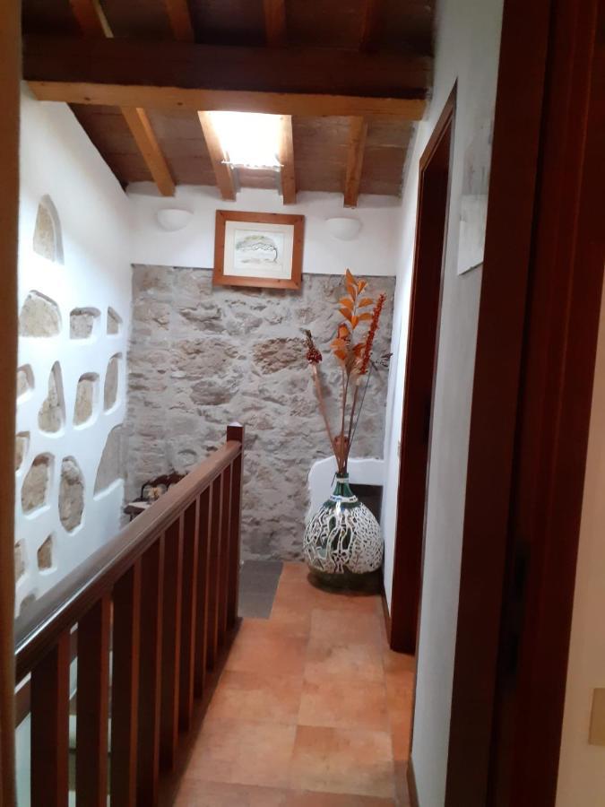 Villa Casa Di Nonno Gio Vecchiano Exterior foto